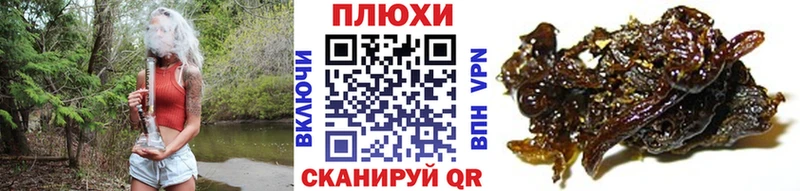 Виды наркоты Бокситогорск Псилоцибиновые грибы МЕФ кракен вход Канабис