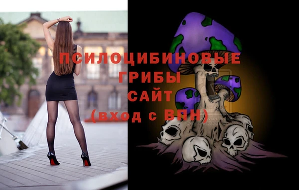 молекула духа Армянск