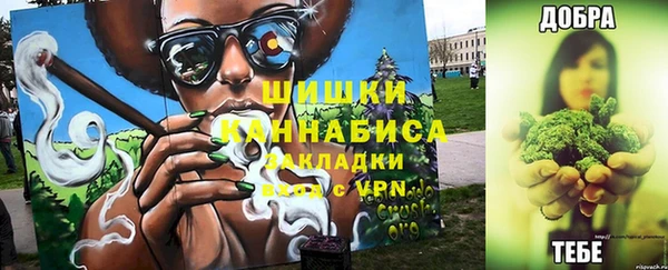 a pvp Аркадак